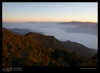 Landscapes