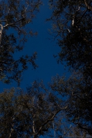 Landscapes