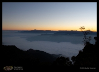 Landscapes
