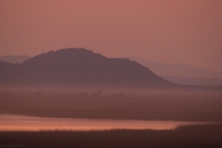 Landscapes