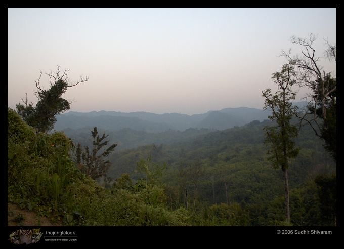 _MG_7243-Mizo-landscape.jpg