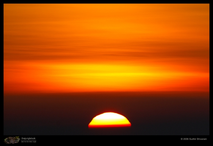 _MG_8095-Sunset.jpg