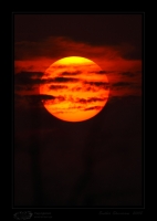 _MG_6426-Sunset.jpg